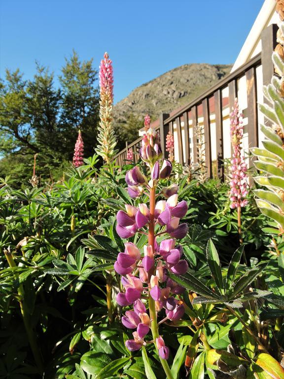 Hosteria El Pilar El Chaltén Zewnętrze zdjęcie
